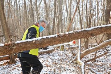 행복나눔봉사단-매미나방 알집 제거