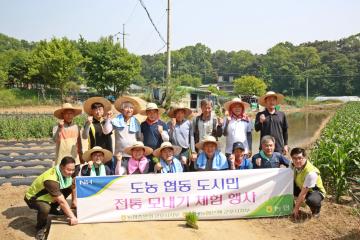 행복나눔봉사단-모내기 자원봉사활동